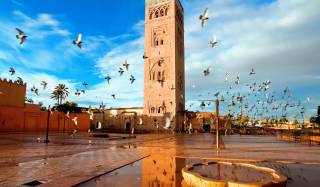 Terms & Conditions Morocco